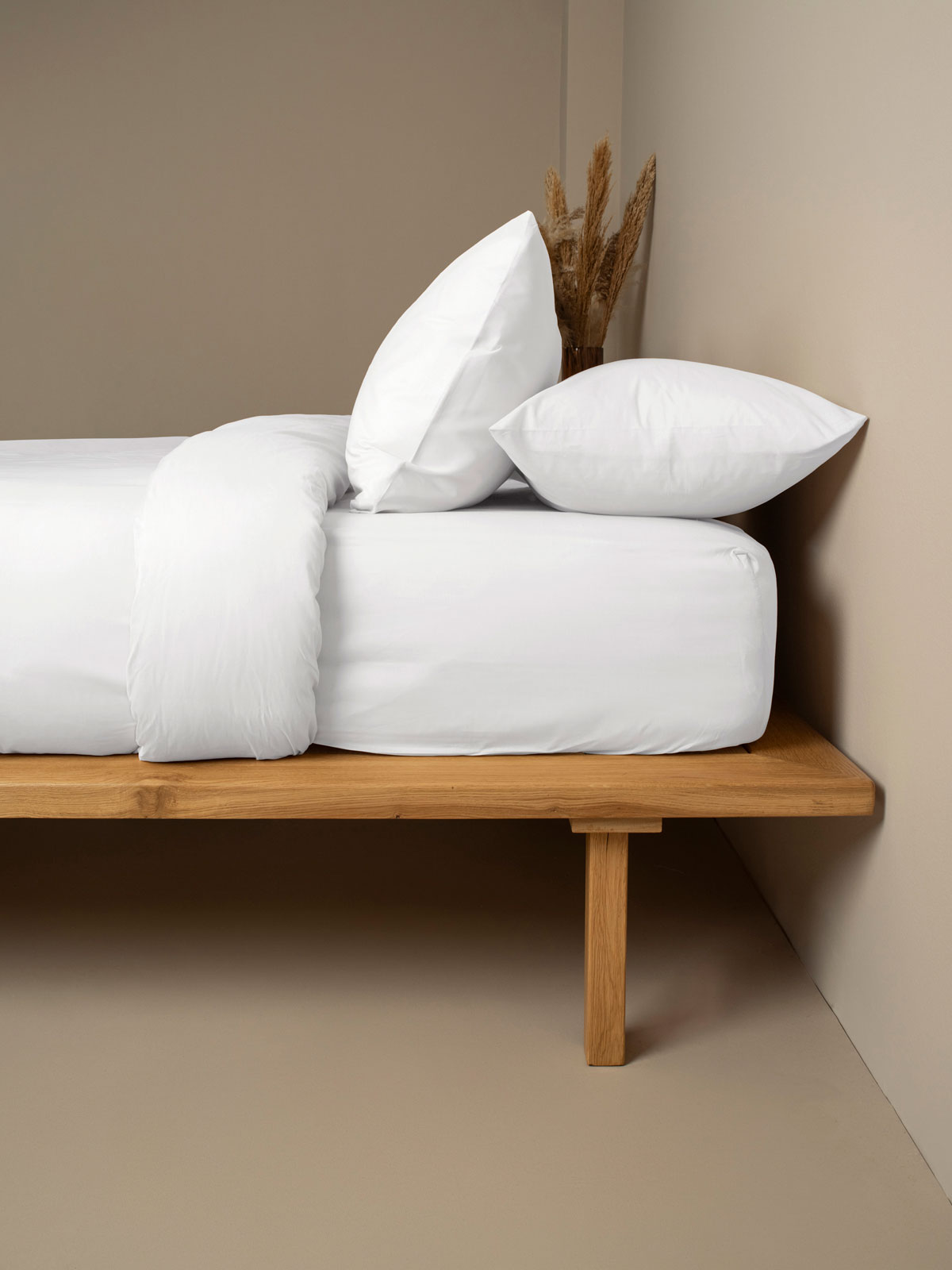 Σετ Σεντόνια Cotton Feelings 100 White Διπλό με λάστιχο (150x205+30) Sunshinehome |  Σεντόνια Διπλά στο espiti Σετ Σεντόνια Cotton Feelings 100 White Διπλό με λάστιχο (150x205+30) Sunshinehome |  Σεντόνια Διπλά στο espiti