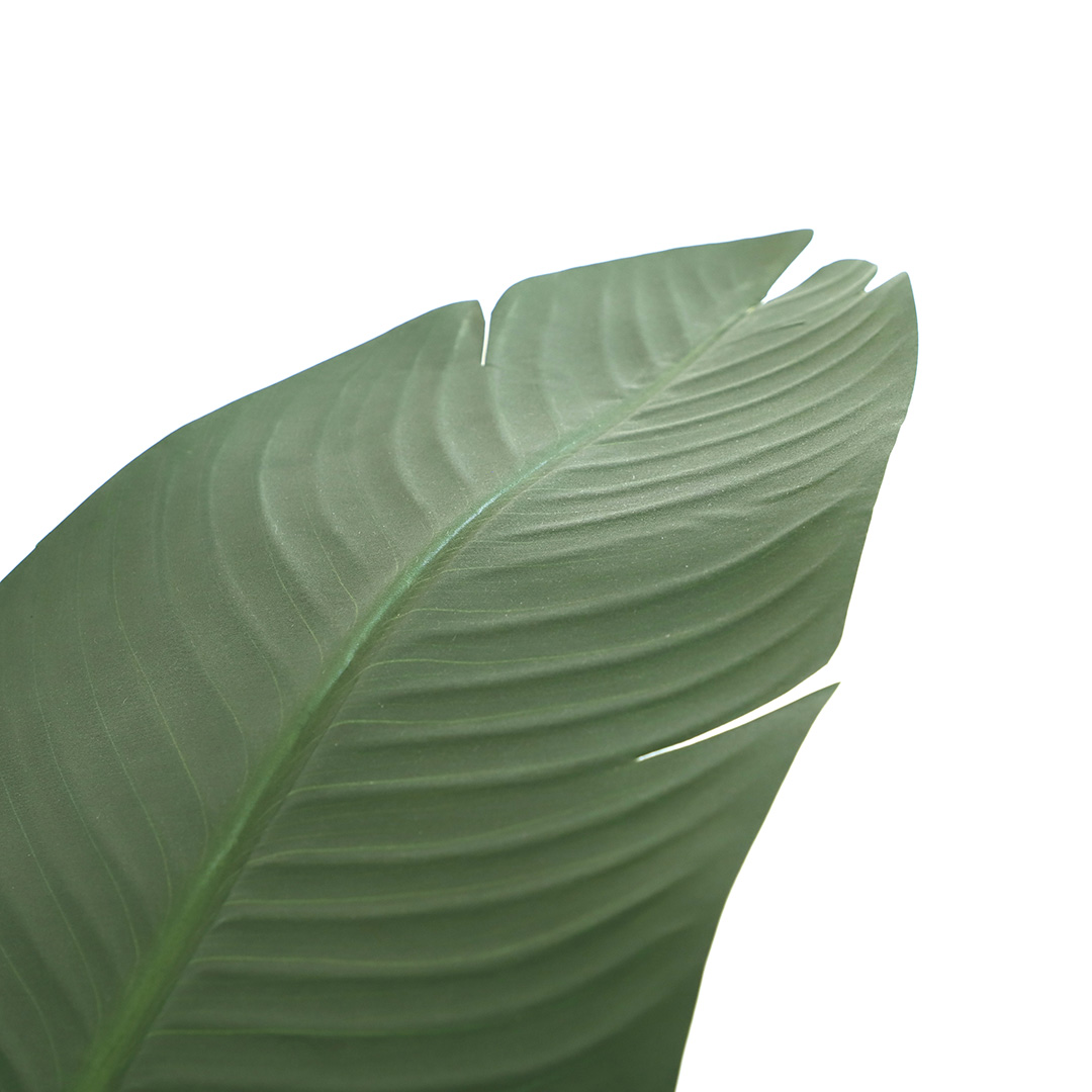BANANA TREE NP1411_160  ΥΨΟΣ 160cm NewPlan - NewPlan |  Λουλούδια στο espiti BANANA TREE NP1411_160  ΥΨΟΣ 160cm NewPlan - NewPlan |  Λουλούδια στο espiti