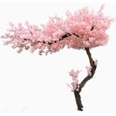 CHERRY BLOSSOM TREE NP0001_200  ΥΨΟΣ 200x200cm NewPlan - NewPlan |  Λουλούδια στο espiti