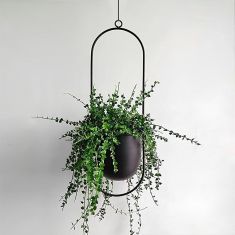 Βάση - ζαρντινιέρα κρεμαστή μεταλλική για φυτά εσωτερικού και εξωτερικού χώρου χρώμα μαύρο Φ15εκ. |  Διακοσμητκά στο espiti