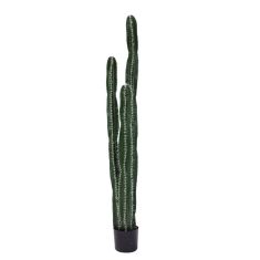 Διακοσμητικό φυτό Cactus II σε γλάστρα Inart πράσινο pp Υ155εκ |  Λουλούδια στο espiti