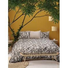 Σετ Κουβερλί GROVE P/COTTON 220 x 240 + 2 μαξιλαροθήκες 52 x 72 εκ. MADI |  Κουβερλί Υπέρδιπλα στο espiti