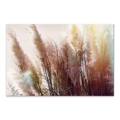Πίνακας σε καμβά "Soft Pampas" Megapap ψηφιακής εκτύπωσης 90x60x3εκ. |  Πίνακες στο espiti