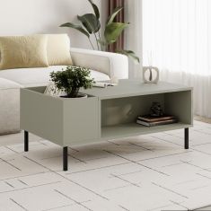 Τραπεζάκι σαλονιού Vena Megapap χρώμα ash green 100x60x42εκ. |  Τραπεζάκια σαλονιού στο espiti