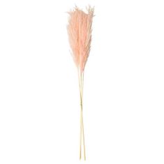 Beauty Home PAMPAS ΡΟΖ 80 CM  3 ΤΜΧ       |  Λουλούδια στο espiti
