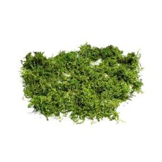 Beauty Home ΦΥΣΙΚΑ ΒΡΥΑ 50gr       |  Διακοσμητκά στο espiti