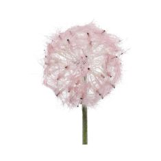 Beauty Home ΛΟΥΛΟΥΔΙ 50 CM       |  Λουλούδια στο espiti