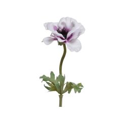 Beauty Home ΑΝΕΜΩΝΗ 57 CM       |  Λουλούδια στο espiti