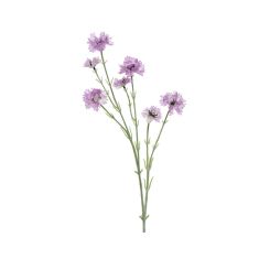Beauty Home ΛΟΥΛΟΥΔΙ 68 CM       |  Λουλούδια στο espiti