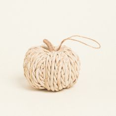 Beauty Home ΚΟΛΟΚΥΘΑ ΜΠΑΜΠΟΥ Γ 10 x 10 cm       |  Διακοσμητκά στο espiti