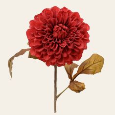 Beauty Home ΛΟΥΛΟΥΔΙ ΝΤΑΛΙΑ 76 CM       |  Λουλούδια στο espiti