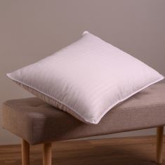 ΜΑΞΙΛΑΡΙ ΥΠΝΟΥ 50X70 MICROFIBER 650GR 50X70 MELINEN |  Μαξιλάρια Υπνου στο espiti