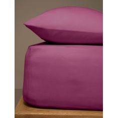 Κατωσέντονο Menta με λάστιχο 10 Mauve Υπέρδιπλο (180x200+20) Sunshinehome |  Σεντόνια Υπέρδιπλα / King Size στο espiti