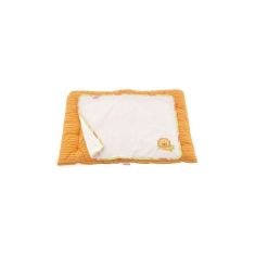 Fisher Price Κάλυμμα Αλλαξιέρας με ανεξάρτητο σελτεδάκι 70x90 des.203 |  Βρεφικά Σεντόνια στο espiti