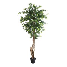 FICUS TREE NP5208_150   ΥΨΟΣ 150cm NewPlan - NewPlan |  Λουλούδια στο espiti