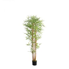 BAMBOO  NP0075_180 ΥΨΟΣ 180cm NewPlan - NewPlan |  Λουλούδια στο espiti
