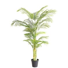 PALM TREE  NP5506_180_22  ΥΨΟΣ 180cm NewPlan - NewPlan |  Λουλούδια στο espiti