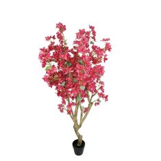 BOUGAINVILLEA  NP0422_170  ΥΨΟΣ 170cm NewPlan - NewPlan |  Λουλούδια στο espiti