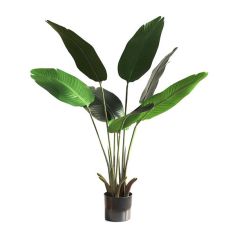 BANANA TREE NP1410_120  ΥΨΟΣ 120cm NewPlan - NewPlan |  Λουλούδια στο espiti