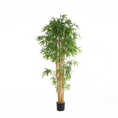 BAMBOO  NP0076_210 ΥΨΟΣ 210cm NewPlan - NewPlan |  Λουλούδια στο espiti