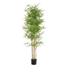 BAMBOO  NP6321_180_22  ΥΨΟΣ 180cm NewPlan - NewPlan |  Λουλούδια στο espiti