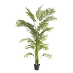 PALM TREE  NP5500_240_22 ΥΨΟΣ 240cm NewPlan - NewPlan |  Λουλούδια στο espiti