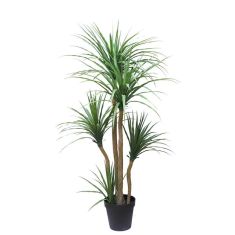 DRACAENA  NP_28_155  ΥΨΟΣ 155cm NewPlan - NewPlan |  Λουλούδια στο espiti