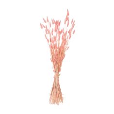 ΔΙΑΚΟΣΜΗΤΙΚΟ ΜΠΟΥΚΕΤΟ ΑΠΟΞΗΡΑΜΕΝΟ HM7960 RABBIT TAIL-PINK 75Υεκ. |  Λουλούδια στο espiti