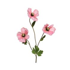 Beauty Home ΠΑΠΑΡΟΥΝΑ ΡΟΖ 71 CM       |  Λουλούδια στο espiti