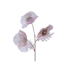 Beauty Home ΠΑΠΑΡΟΥΝΑ ΡΟΖ 76 cm       |  Λουλούδια στο espiti