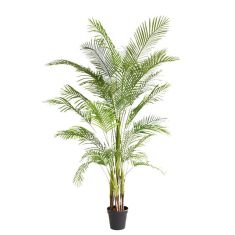 PALM TREE  NP5501_210_22  ΥΨΟΣ 210cm NewPlan - NewPlan |  Λουλούδια στο espiti