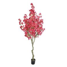 BOUGAINVILLEA  NP0421_210  ΥΨΟΣ 210cm NewPlan - NewPlan |  Λουλούδια στο espiti