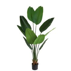 BIRD OF PARADISE  NP717_160  ΥΨΟΣ 160cm NewPlan - NewPlan |  Λουλούδια στο espiti