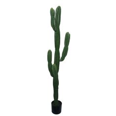 Διακοσμητικό φυτό Cactus I σε γλάστρα Inart πράσινο pp Υ155εκ |  Λουλούδια στο espiti