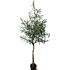 OLIVE TREE NP4817_160_22   ΥΨΟΣ 160cm NewPlan - NewPlan |  Λουλούδια στο espiti
