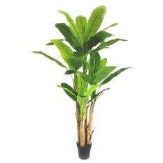 BANANA TREE NP018_280_22  ΥΨΟΣ 280cm NewPlan - NewPlan |  Λουλούδια στο espiti