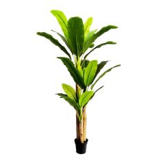 BANANA TREE NP017_240_22  ΥΨΟΣ 240cm NewPlan - NewPlan |  Λουλούδια στο espiti