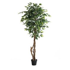 FICUS TREE NP5209_180  ΥΨΟΣ 180cm NewPlan - NewPlan |  Φυτά συνθετικά - Λουλούδια στο espiti
