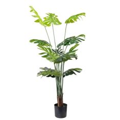 MONSTERA  NP6314_155_22   ΥΨΟΣ 155cm NewPlan - NewPlan |  Φυτά συνθετικά - Λουλούδια στο espiti