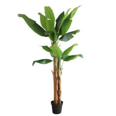 BANANA TREE NP708_220  ΥΨΟΣ 220cm NewPlan - NewPlan |  Λουλούδια στο espiti