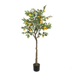 LEMON TREE  NP_30_170  ΥΨΟΣ 170cm NewPlan - NewPlan |  Λουλούδια στο espiti