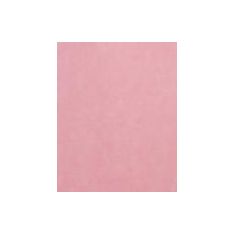 123357 ΣΤΟΚ Π.Χ  ΒΑΜΒΙΝΟNEW  TAΠ.ΤΟΙΧΟΥ RASCH NewPlan - NewPlan |  Ταπετσαρίες Τοίχου στο espiti