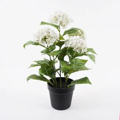 Διακοσμητικό φυτό σε γλάστρα Hydrangea Inart λευκό Φ35x50εκ |  Φυτά συνθετικά - Λουλούδια στο espiti