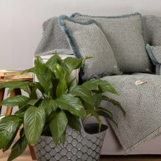 ΡΙΧΤΑΡΙ    ΡΑΝΙΟΝ 1ΤΕΜ ΒΕΡΑΜΑΝ/ΜΠΕΖ (3 ) 180Χ180CΜ ΣΕΝΙΛ ΖΑΚΑΡ   ΑSLΑΝΙS ΗΟΜΕ |  Ριχτάρια στο espiti