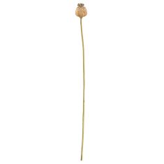 Κλαδί Σενέκιο ArteLibre Τεχνητό Καφέ 55cm 05161216 ArteLibre |  Φυτά συνθετικά - Λουλούδια στο espiti