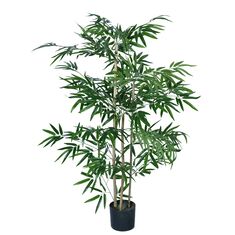 Διακοσμητικό φυτό Bamboo σε γλάστρα Inart πράσινο pp Υ130εκ |  Φυτά συνθετικά - Λουλούδια στο espiti
