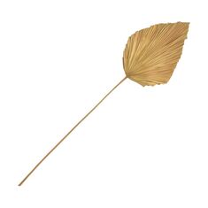 Διακοσμητικό φύλλο Walsy Inart palm leaf σε φυσική απόχρωση Υ135 εκ |  Διακοσμητκά στο espiti