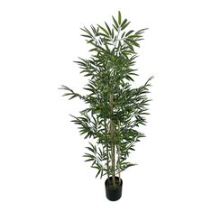 Διακοσμητικό φυτό Bamboo σε γλάστρα Inart πράσινο pp Υ150εκ |  Φυτά συνθετικά - Λουλούδια στο espiti