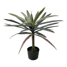 Διακοσμητικό φυτό Dracaena palm σε γλάστρα Inart πράσινο pp Υ62εκ |  Φυτά συνθετικά - Λουλούδια στο espiti