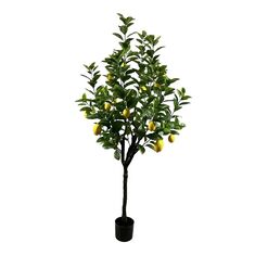 Διακοσμητικό φυτό Lemon tree σε γλάστρα Inart πράσινο pp Υ180εκ |  Φυτά συνθετικά - Λουλούδια στο espiti